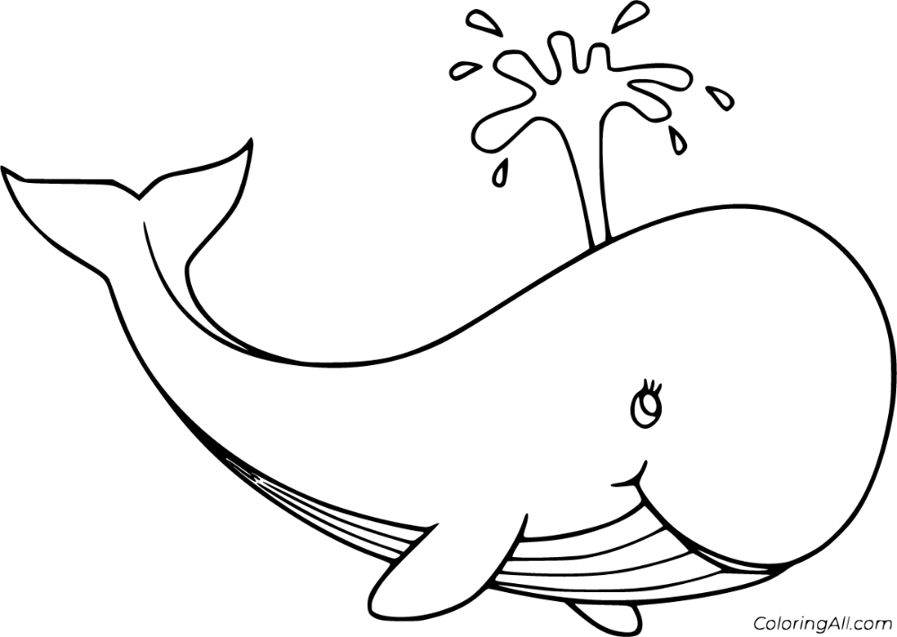 Free printable blue whale coloring pages in vector format easy to print from any device and automaâ whale coloring pages coloring pages shark coloring pages