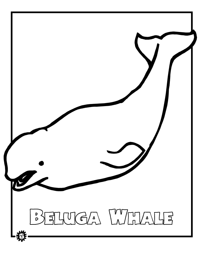 Beluga whale coloring page