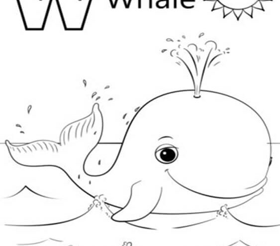 Free easy to print whale coloring pages