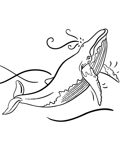 Free whale coloring page