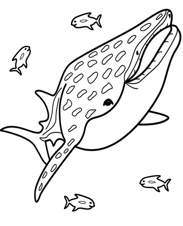 Blue whale printable coloring page