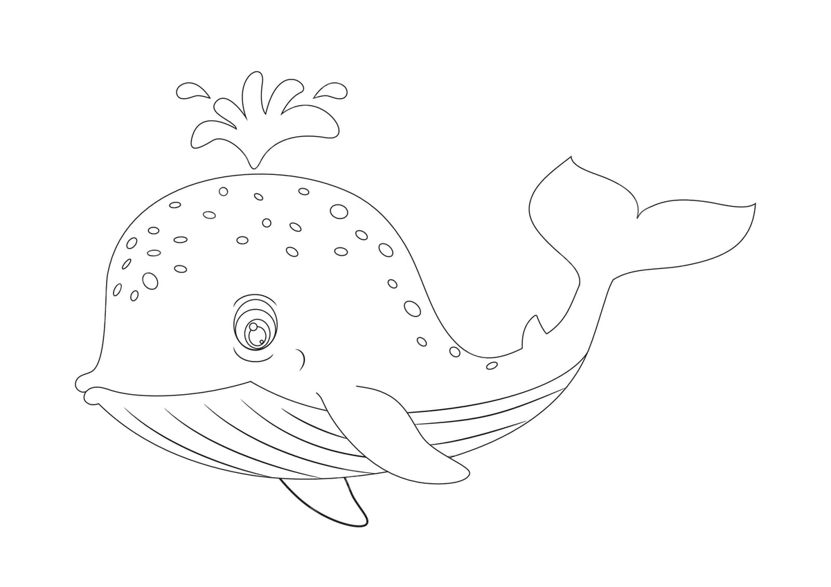 Vector clipart of a black and white whale printable coloring page featuring a cartoon character vector car drawing cartoon drawing whale drawing png and vector with transparent background for free download
