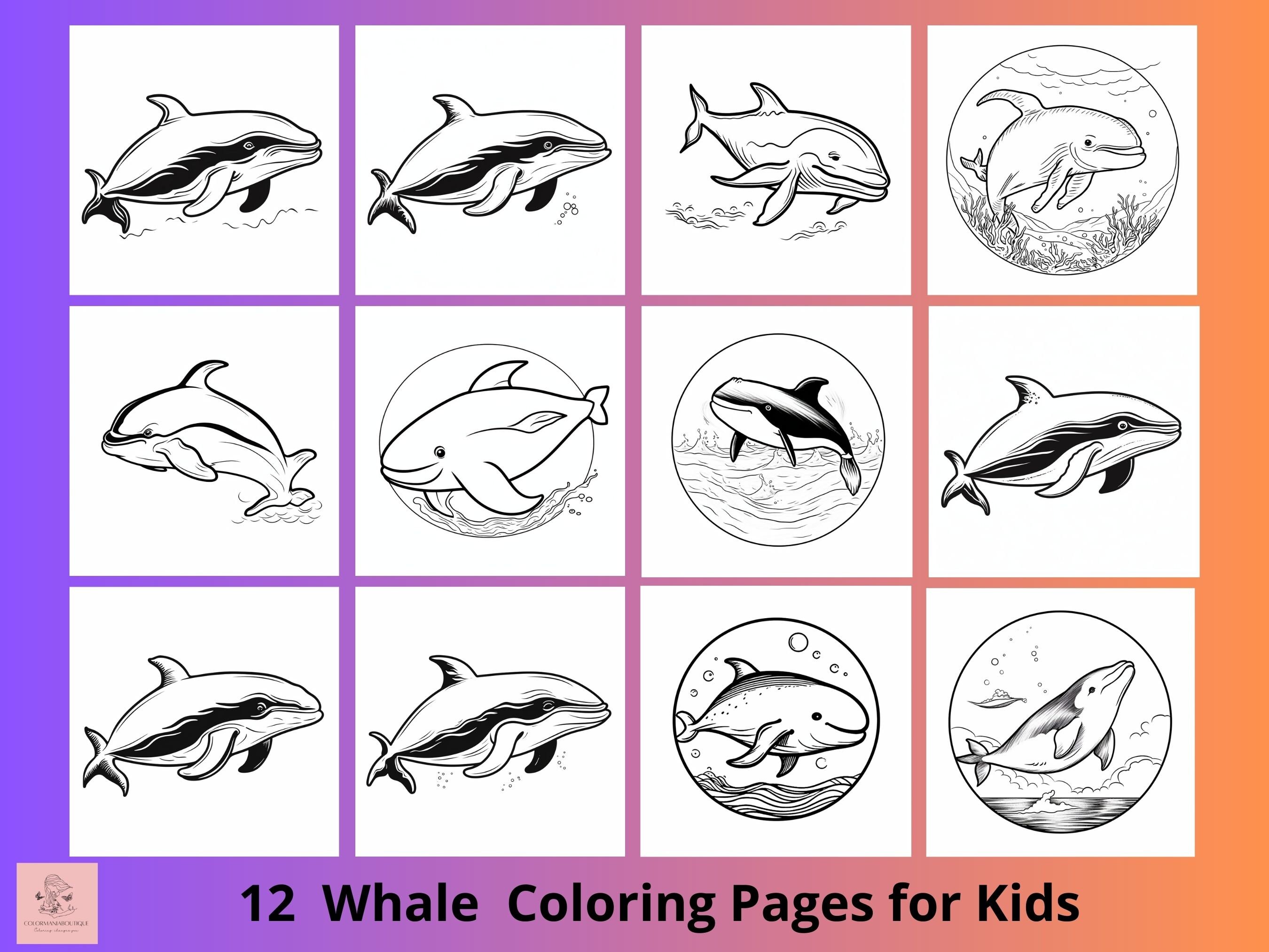 Whale printable coloring sheet for kids ocean animals printable kids coloring pages whale books kids activity