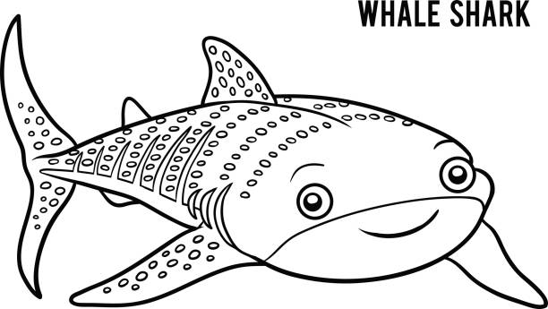 Coloring book whale shark stock illustration