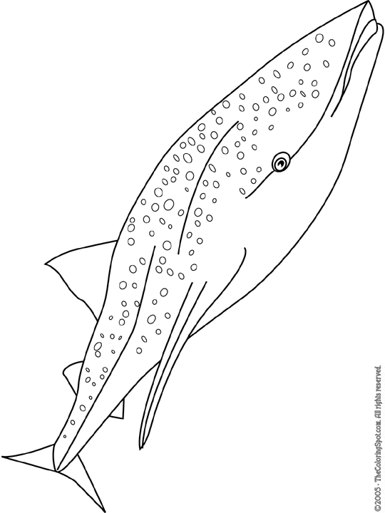 Whale shark coloring page audio stories for kids free coloring pages colouring printables