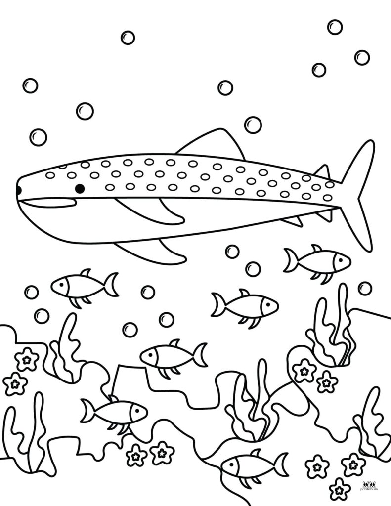 Shark coloring pages