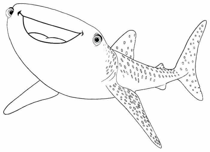 Whale shark coloring pages shark coloring pages animal coloring pages mermaid coloring pages