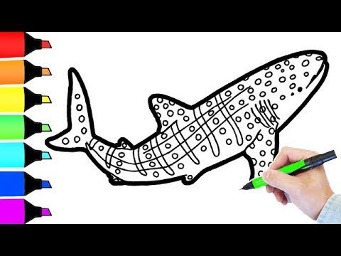 Whale shark coloring book pages for children fun colouring for kids