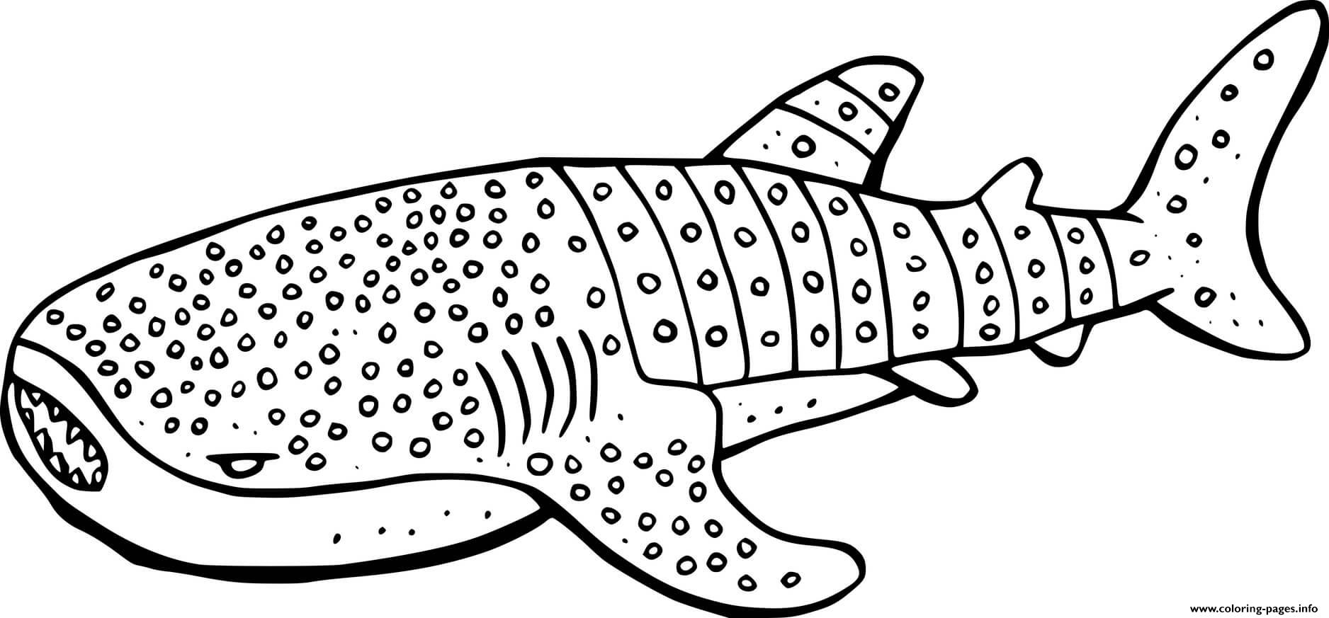 Cartoon whale shark coloring page printable