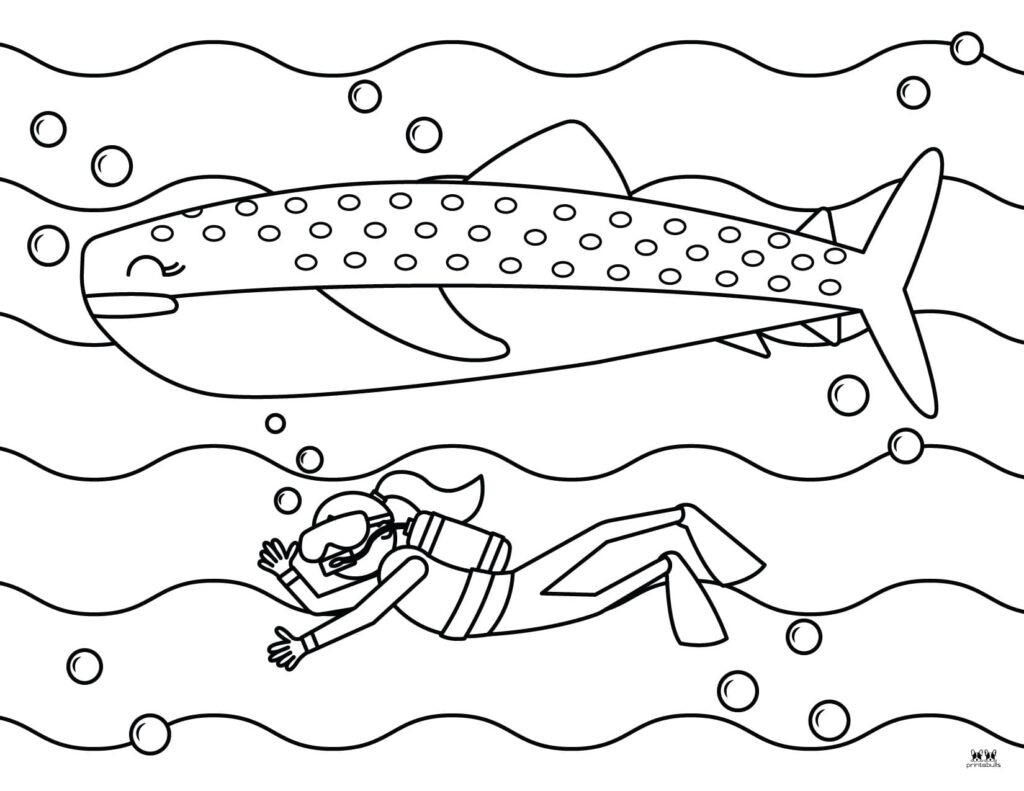 Shark coloring pages