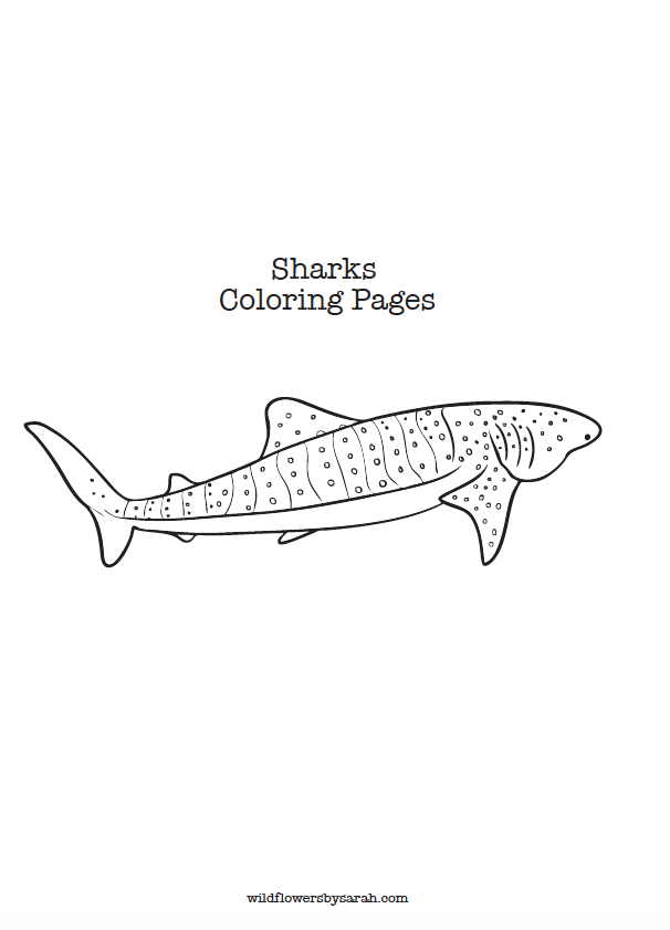 Sharks coloring page â wildflowers