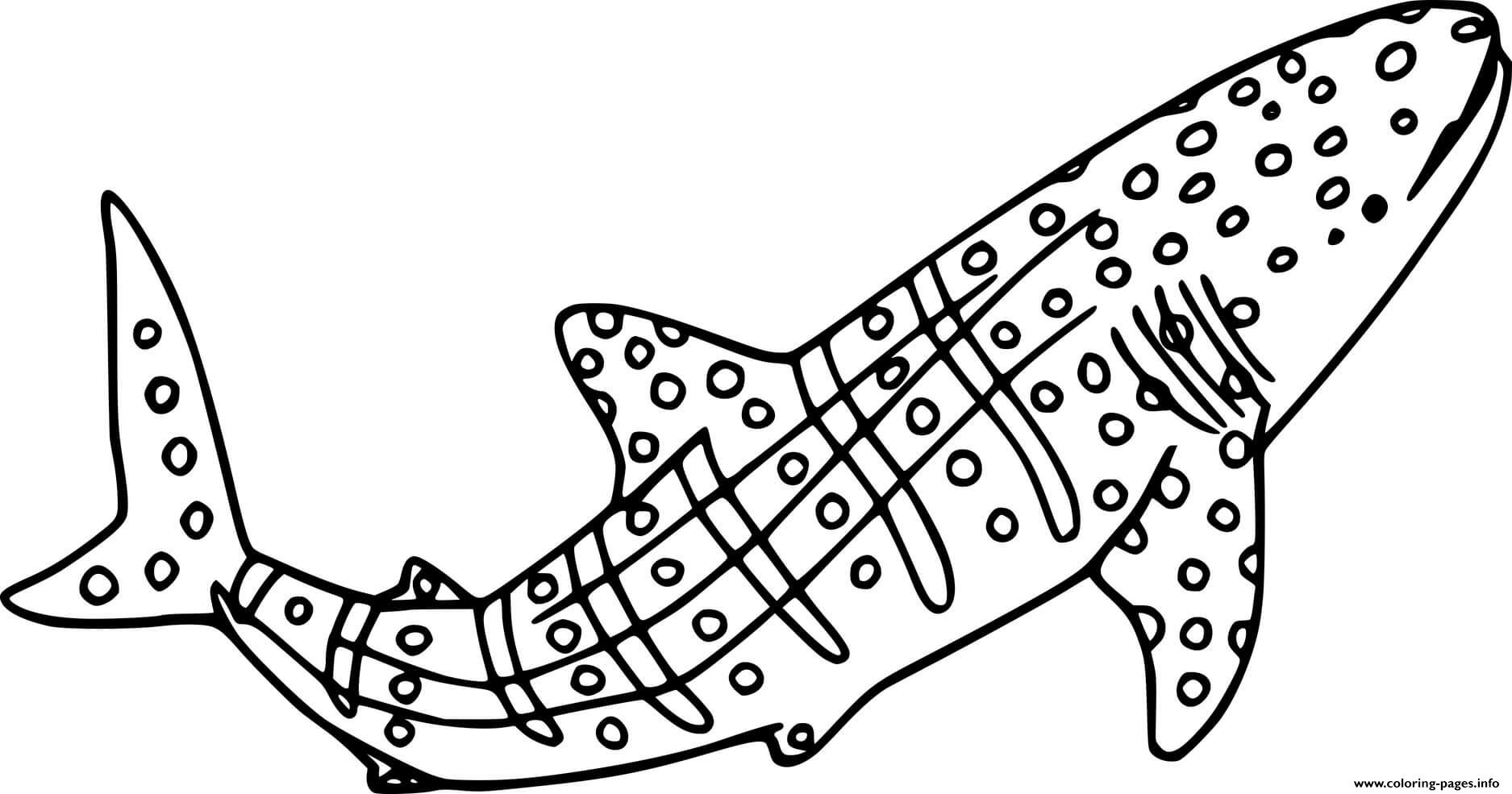 Jumping whale shark coloring page printable