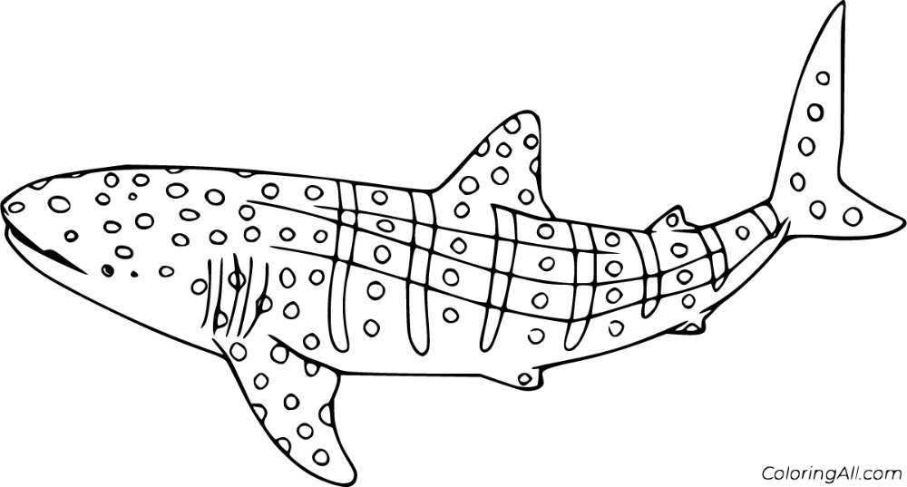 Free printable whale shark coloring pages in vector format easy to print from any device and automatiâ shark coloring pages whale coloring pages whale shark