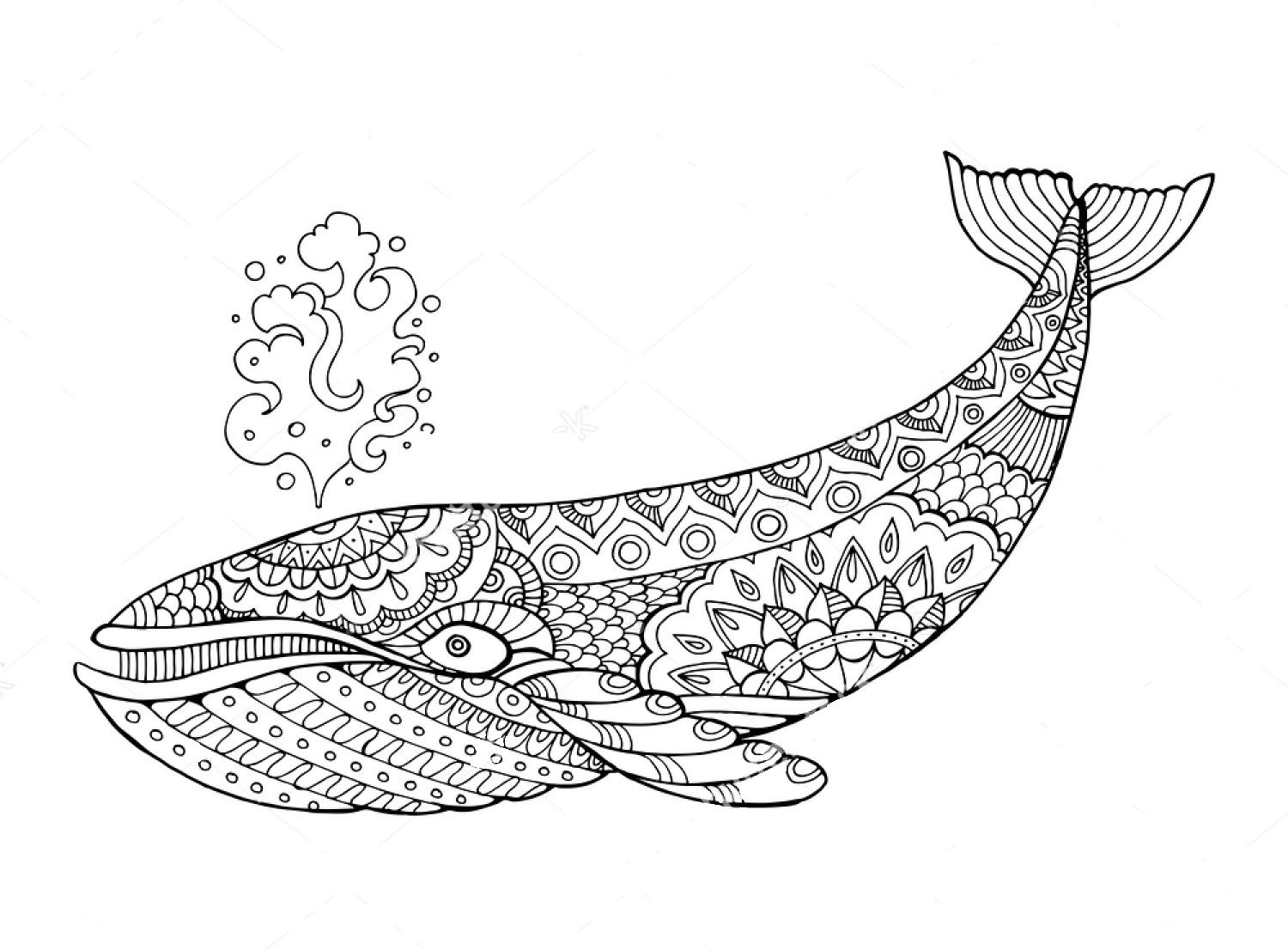 Whale zentangle coloring page whale coloring pages animal coloring books animal coloring pages