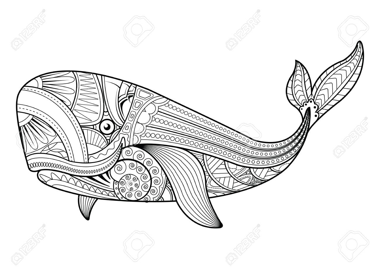 Pattern vector whale for adult anti stress coloring pages ornamental tribal patterned illustration for tattoo poster or print hand drawn monochrome sketch sea animal collection royalty free svg cliparts vectors and stock