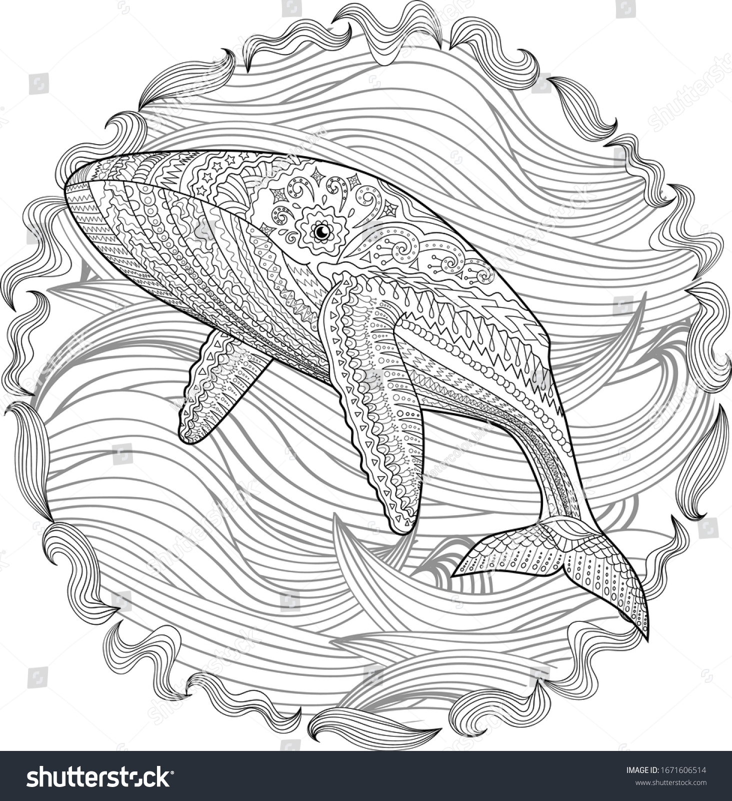 Whale zentangle images stock photos d objects vectors