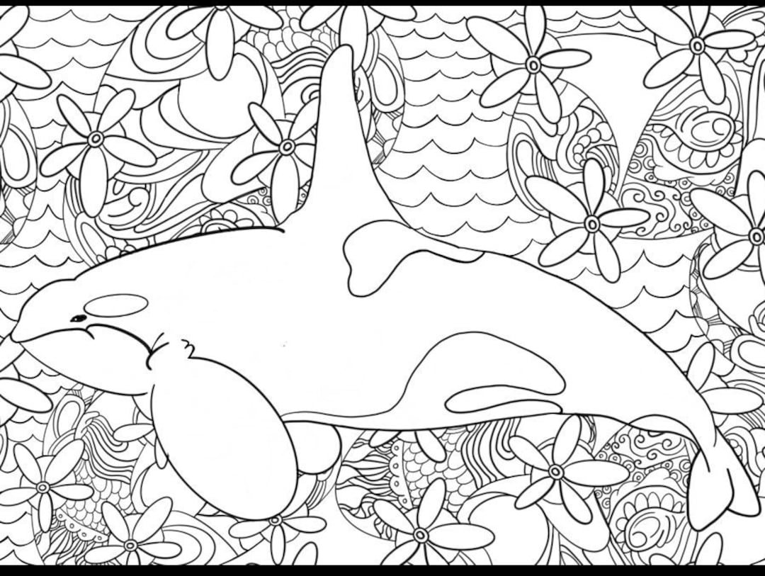 Orca beauty coloring page