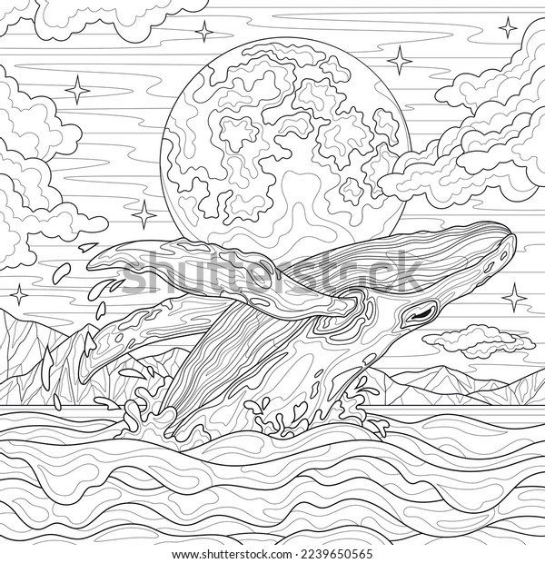 Whale colouring book images stock photos d objects vectors