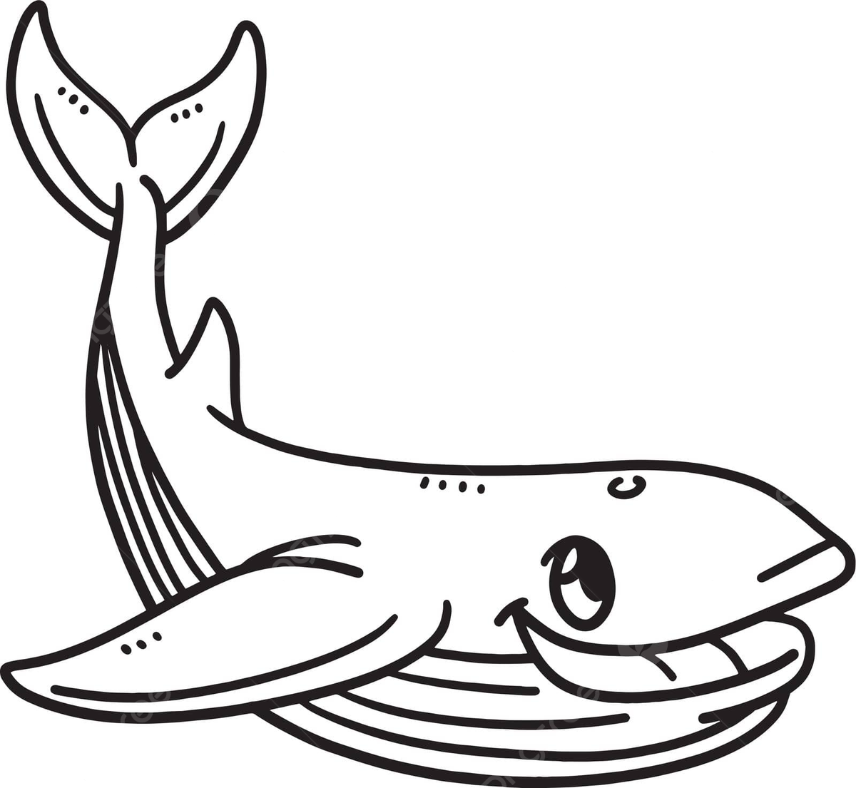 Baby whale sharks isolated coloring page mammal ovoviviparous kids vector mammal ovoviviparous kids png and vector with transparent background for free download