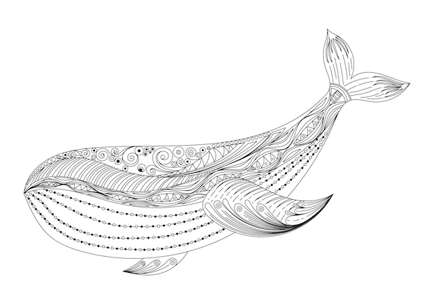 Premium vector zentangle whale adult anti stress coloring pages