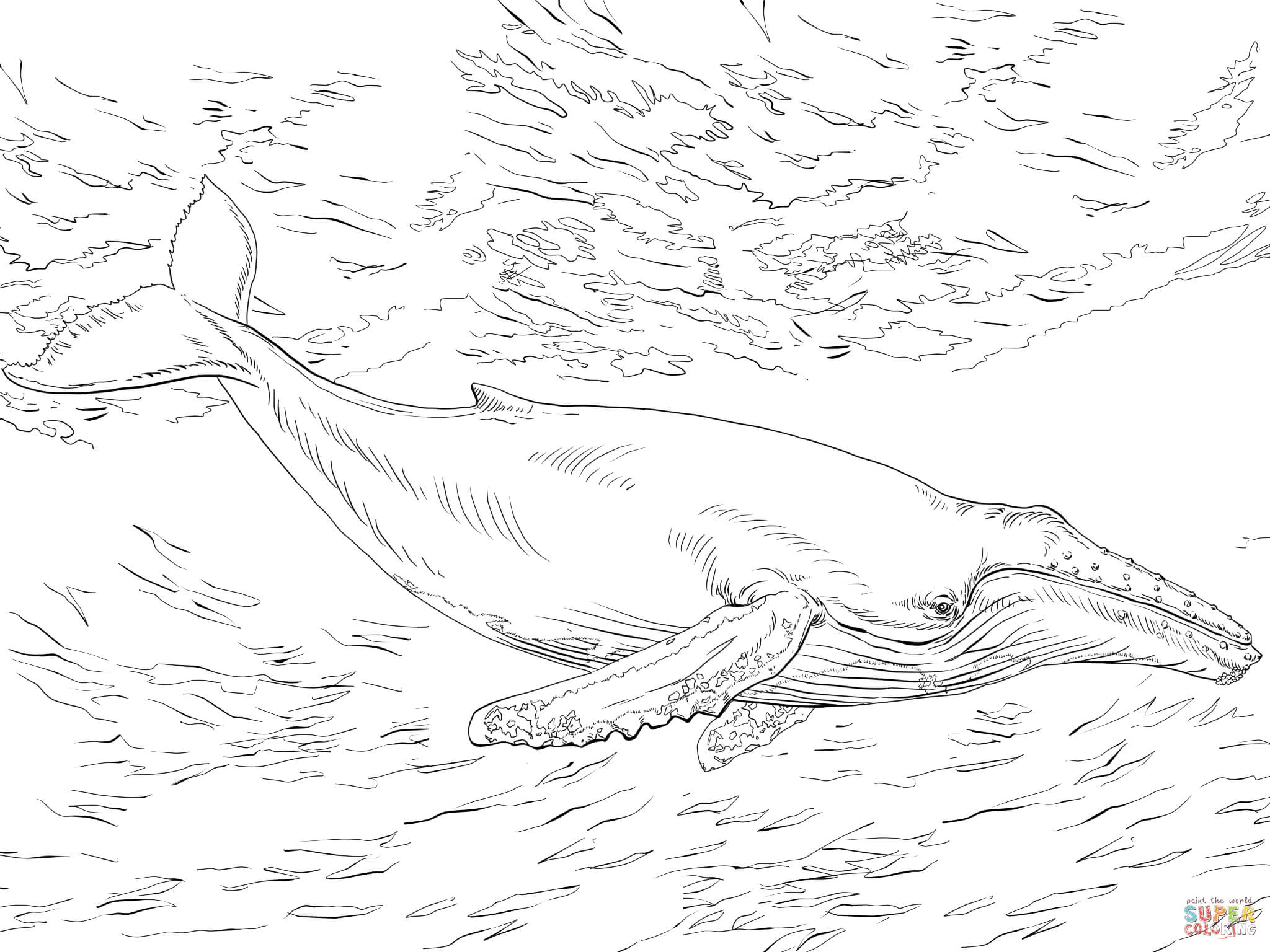 Diving humpback whale coloring page free printable coloring pages