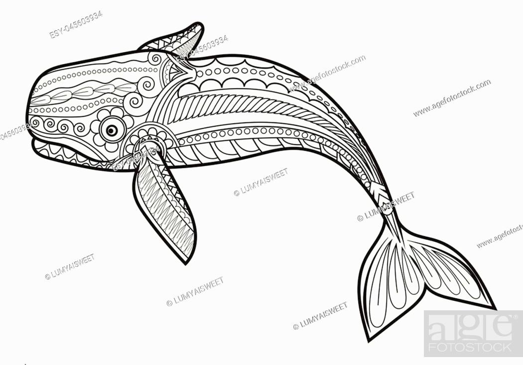 Vector whale for adult anti stress coloring pages ornamental tribal patterned illustration for stock vector vector and low budget royalty free image pic esy