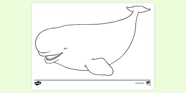 Snail and whale templates ks louring worksheets