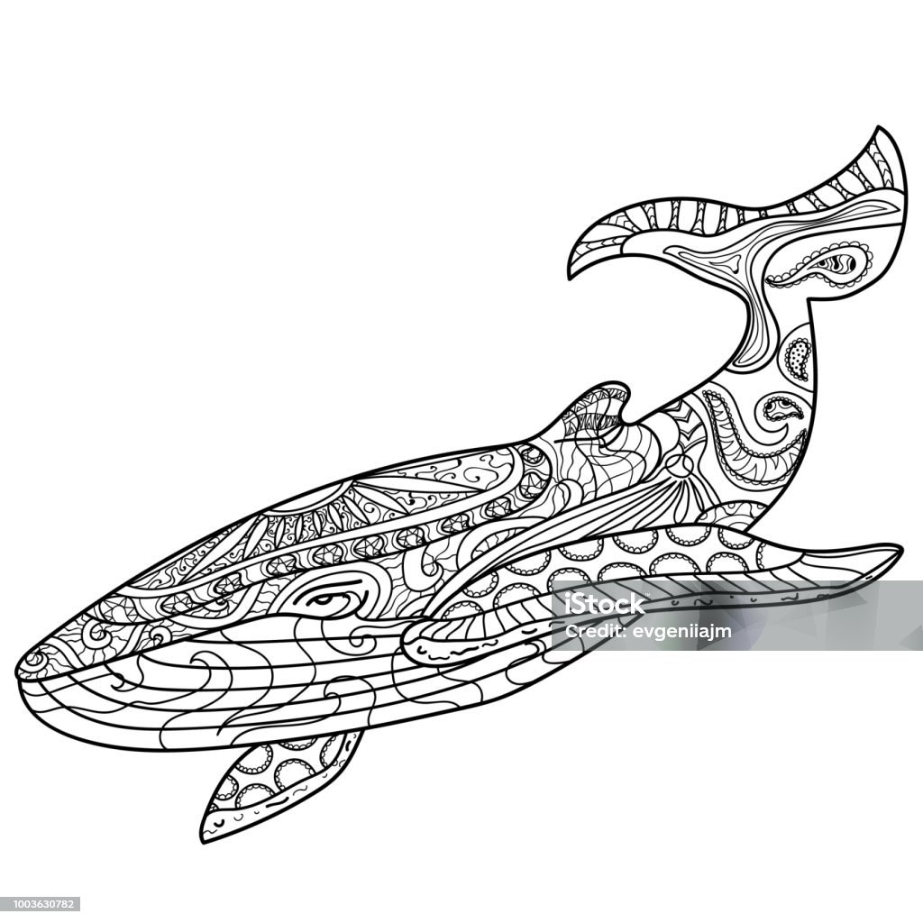 Whale pattern coloring book coloring page vector stock illustration