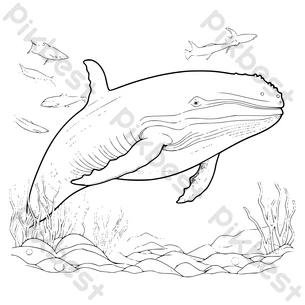 Realistic whale coloring png images free realistic whale coloring transparent pngvector and psd download