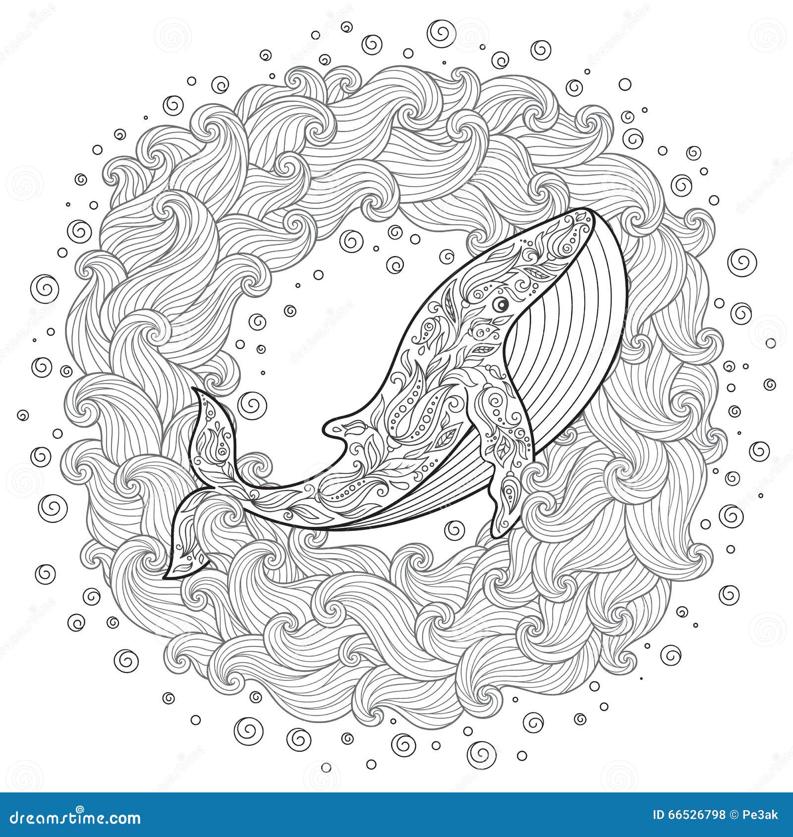 Whale coloring page stock illustrations â whale coloring page stock illustrations vectors clipart