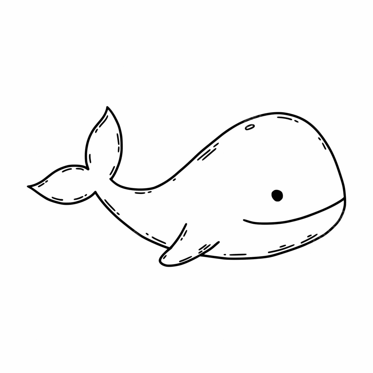 Childrens coloring book illustration of cute whale and marine life vector book drawing whale drawing rat drawing png and vector with transparent background for free download