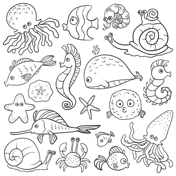 Whale coloring page pictures stock illustrations royalty