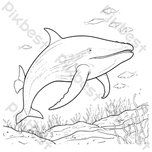 Realistic whale coloring png images free realistic whale coloring transparent pngvector and psd download