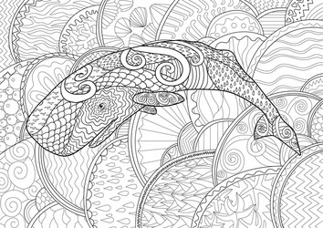 Adult coloring whale vector images over