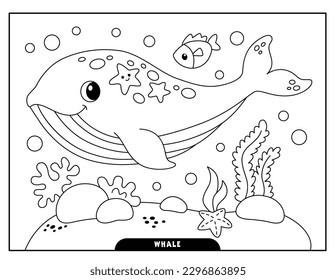 Whale coloring book images stock photos d objects vectors