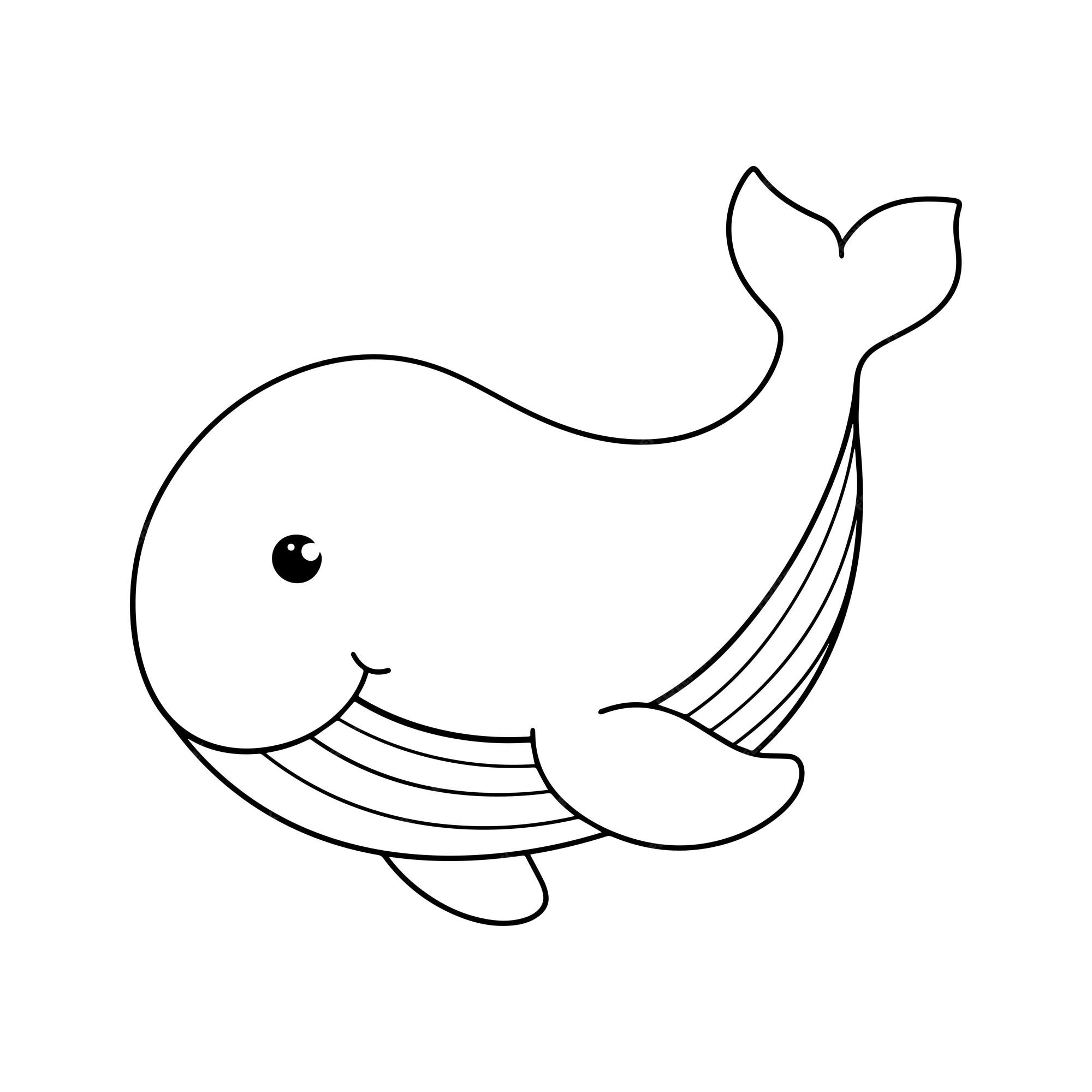 Premium vector whale coloring page colored illustration cartoon whale character for children coloring and scrap