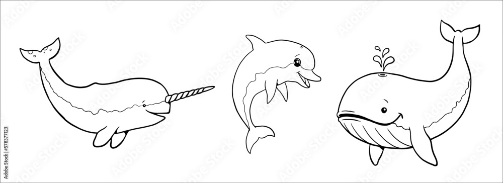 Cute narwhal whale and dolphin to color in vector template for a coloring book with funny animals coloring template for kids vector