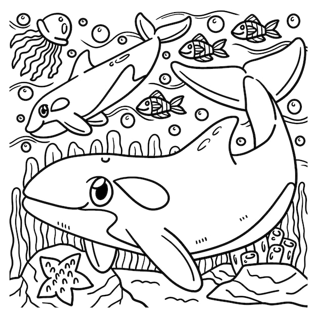 Premium vector killer whale coloring page for kids