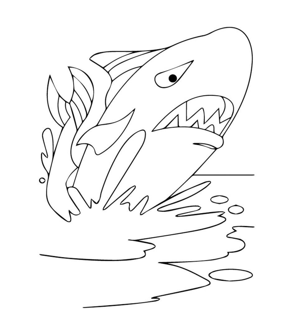 Printable whale coloring pages your toddler will love