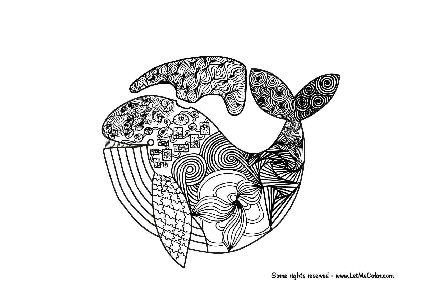 Whale adult coloring page