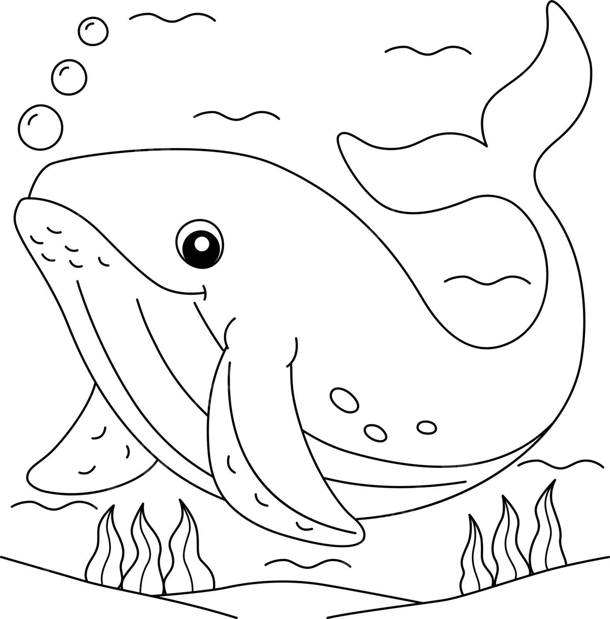 Humpback whale coloring page for kids drawing underwater marine vector whale drawing wing drawing water drawing png and vector with transparent background for free download