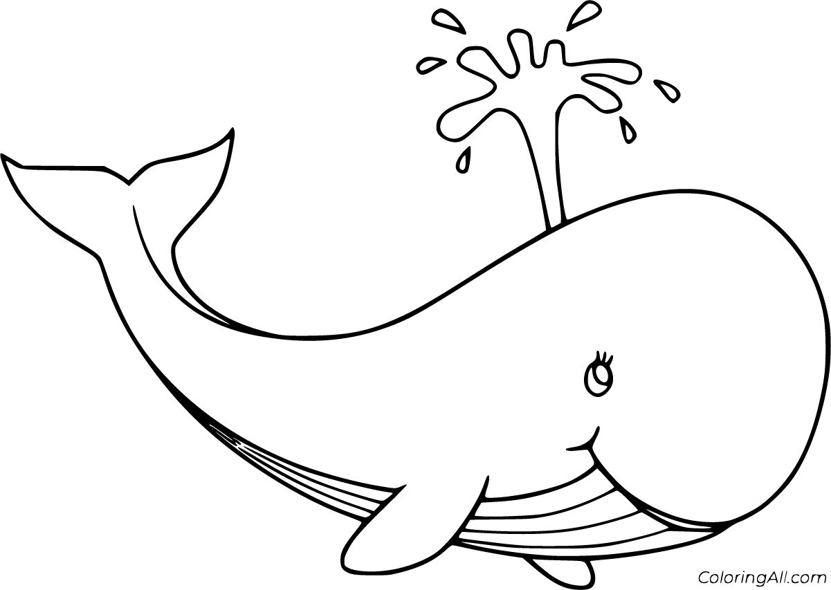 Blue whale coloring pages