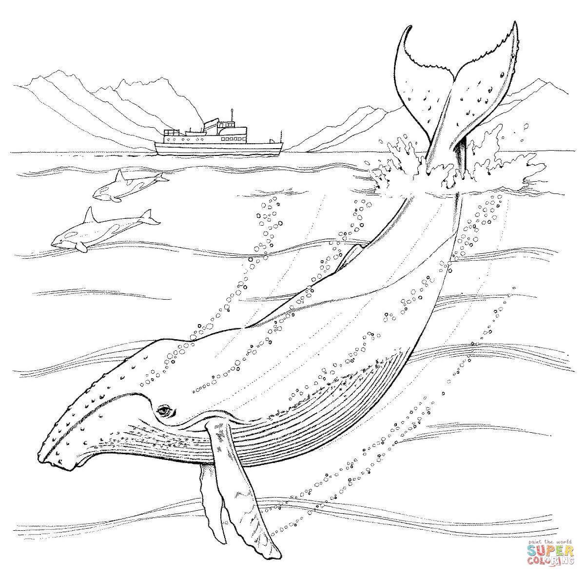 Humpback whale coloring page free printable coloring pages