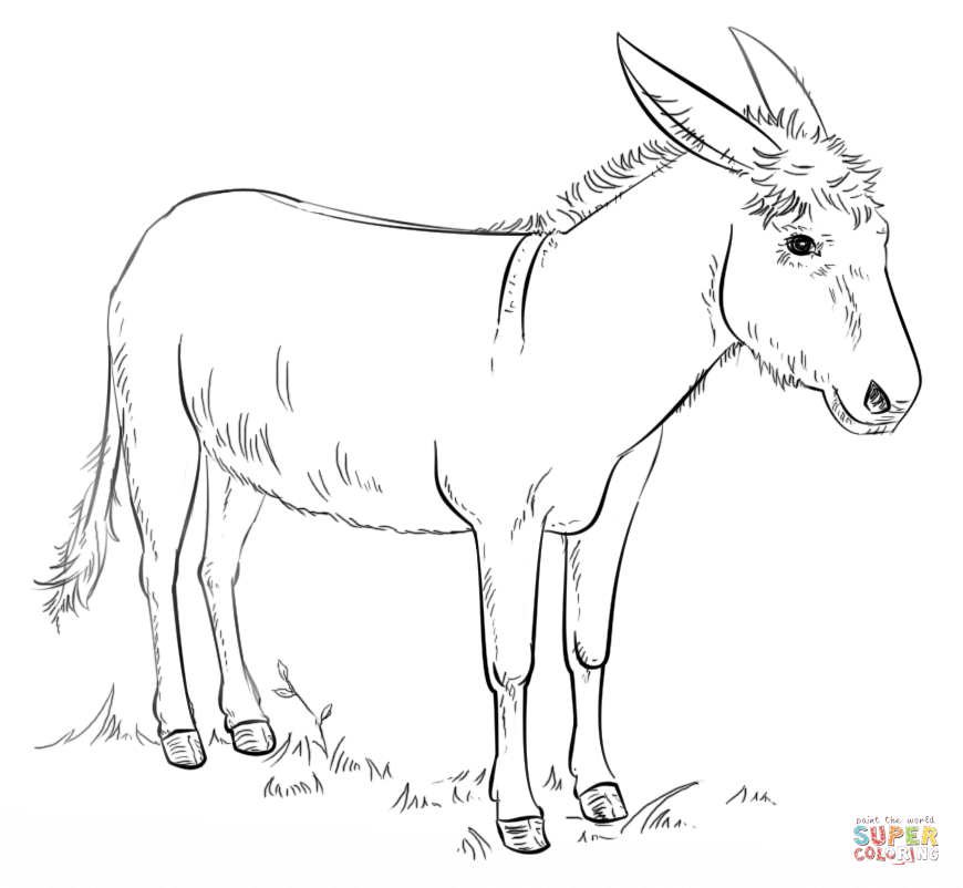 Donkey coloring page free printable coloring pages