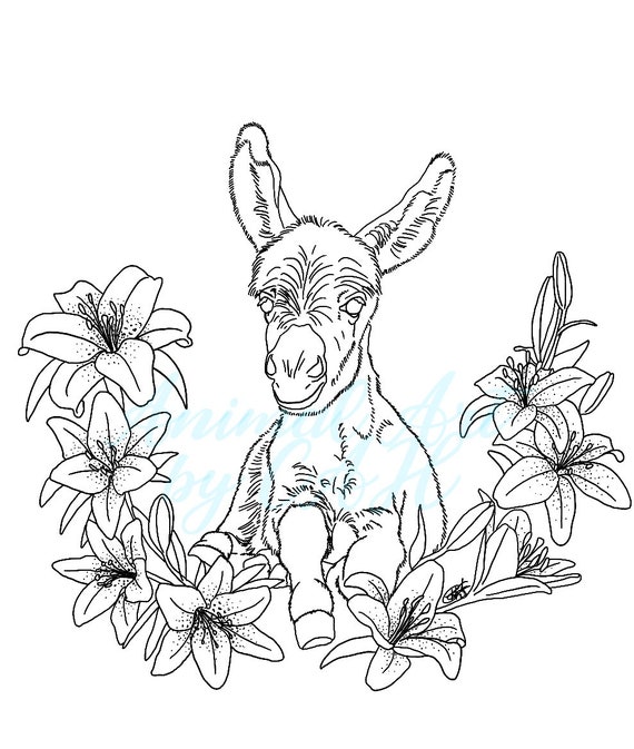 Donkey coloring page baby donkey digital download instant download