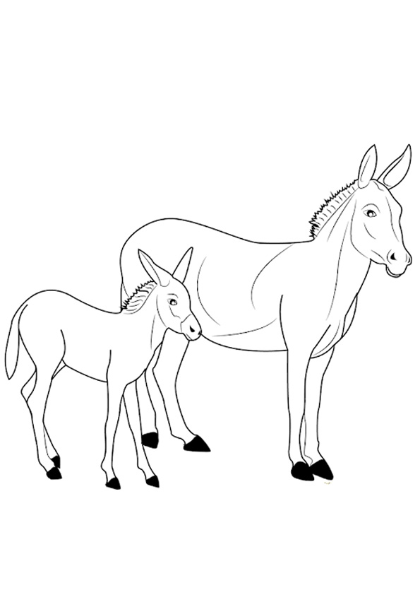 Coloring pages baby donkey with mother coloring pages