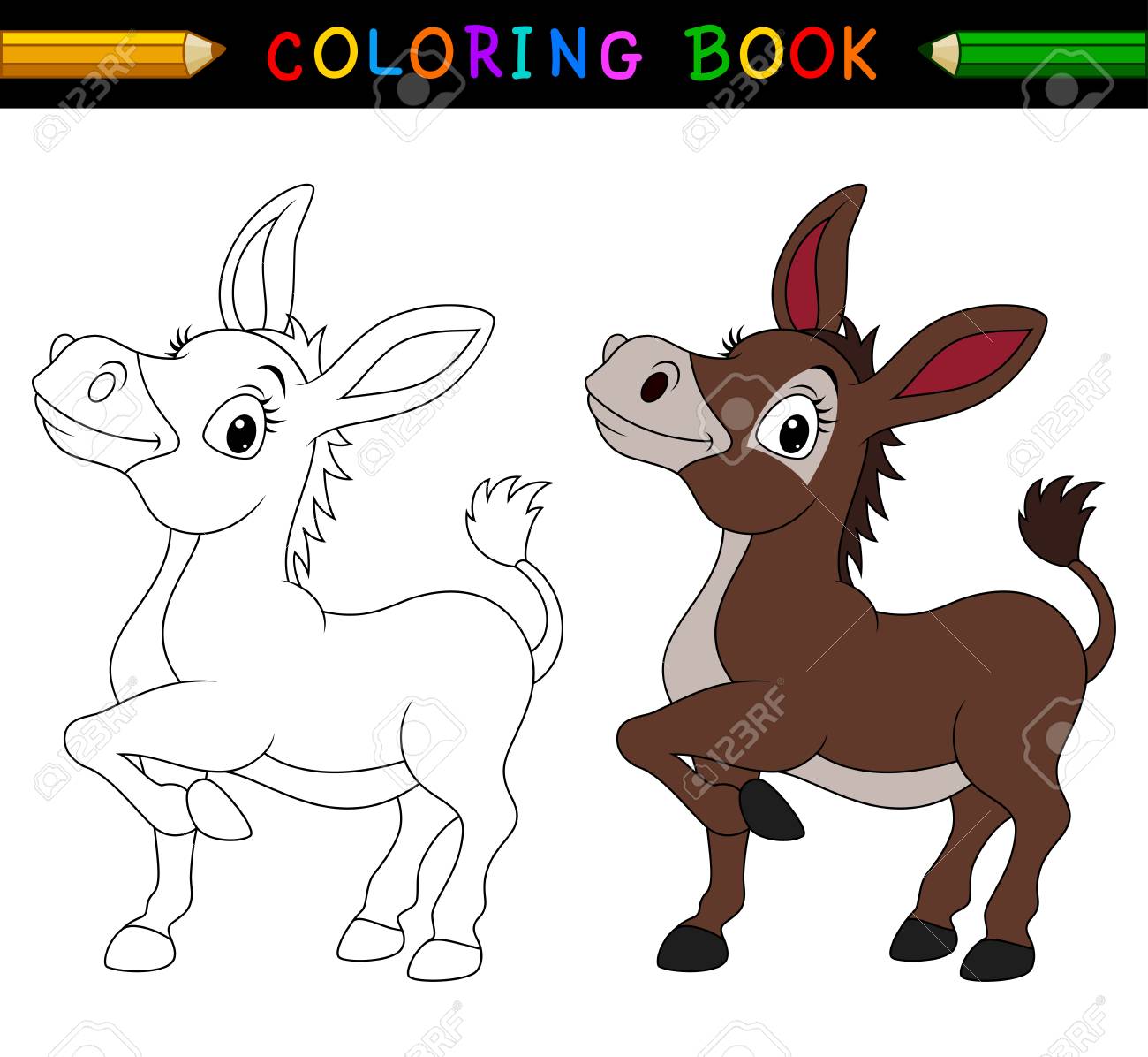 Cartoon donkey coloring book stock photo picture and royalty free image image