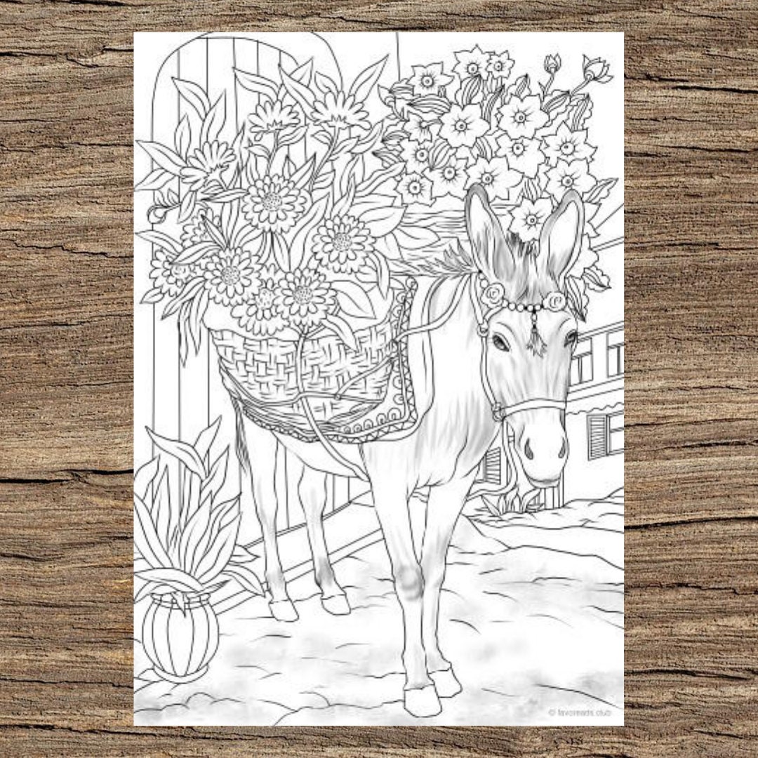 Donkey with flowers printable adult coloring page from favoreads coloring book pages for adults and kids coloring sheets coloring designs