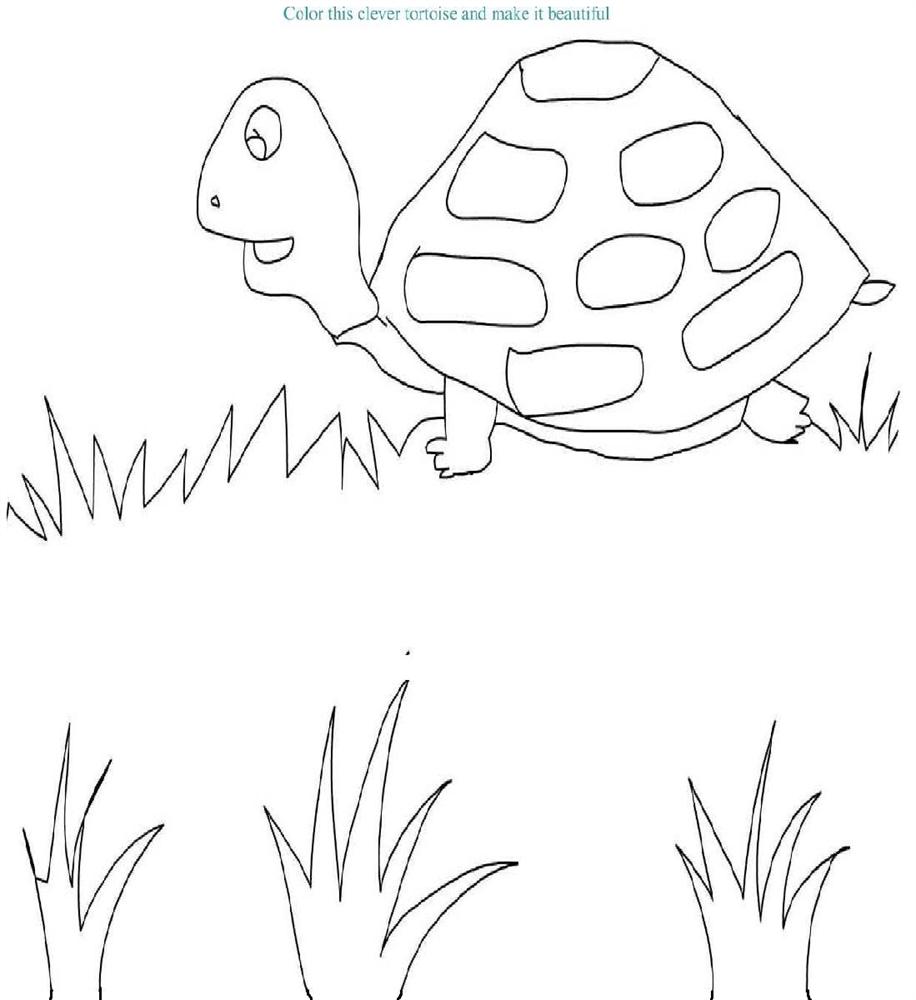 Tortoise coloring page printable for kids