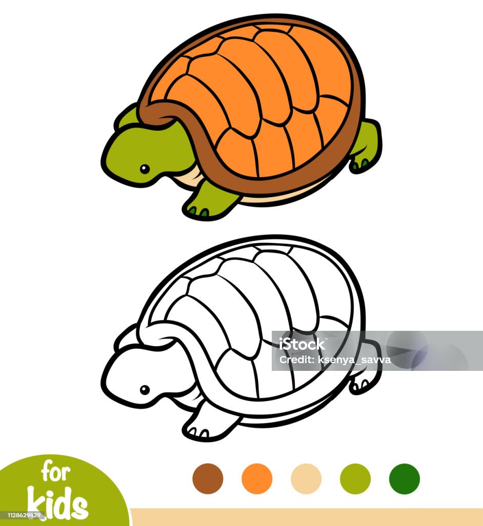 Coloring book tortoise stock illustration